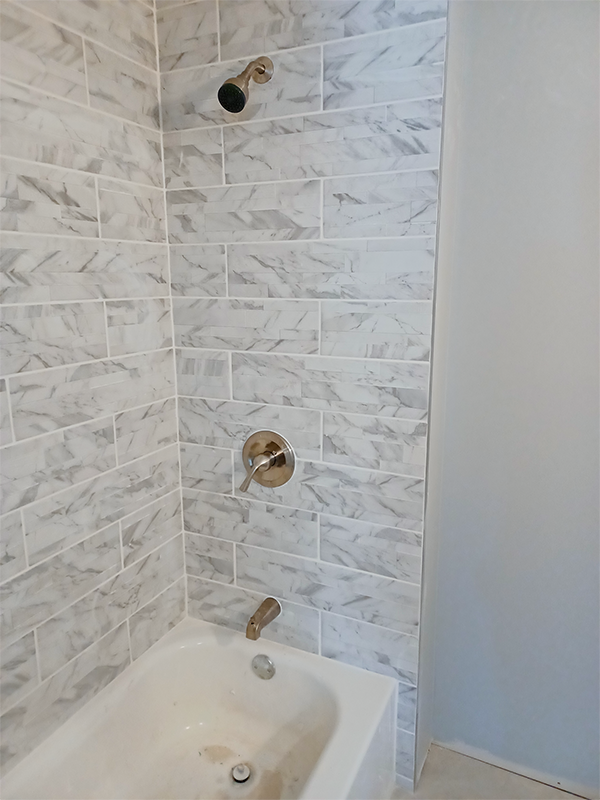 Bathroom shower renovation